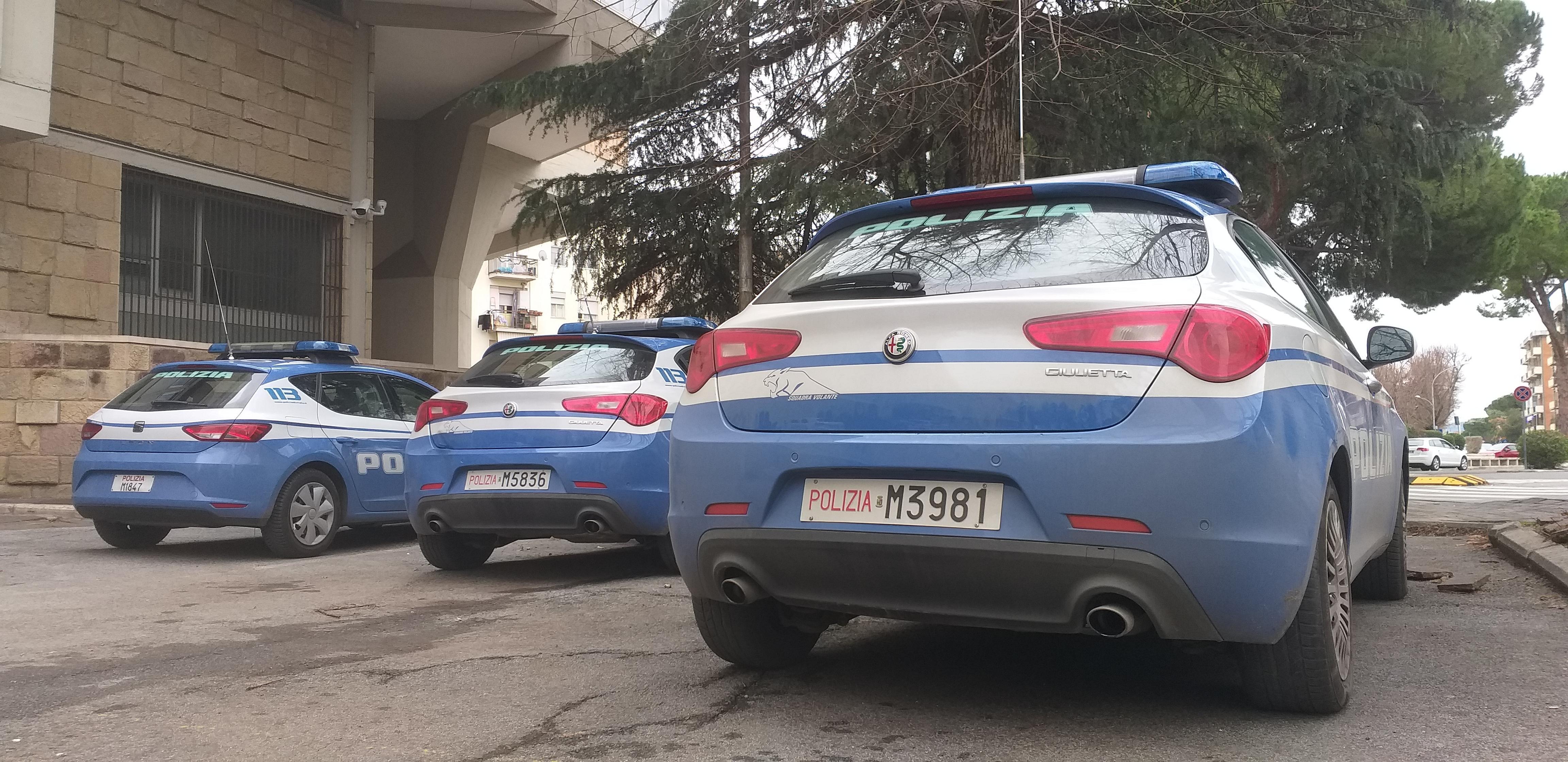 Dipinti falsi dell'artista nonantolano Reggiani, sequestri anche nel Modenese 