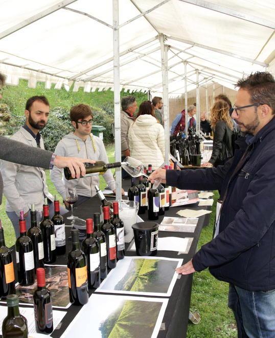 Il ritorno di Enolia «Ecco il galà dell’olio» 
