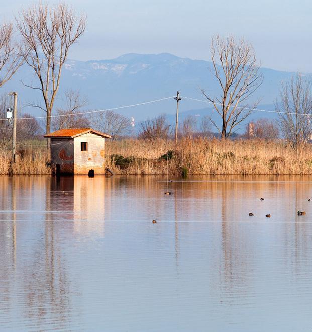 Chiesto un progetto per tutelare la natura nell’area del Padule 