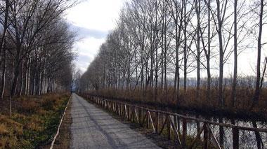 Cento chilometri da percorrere in bici intorno al Padule