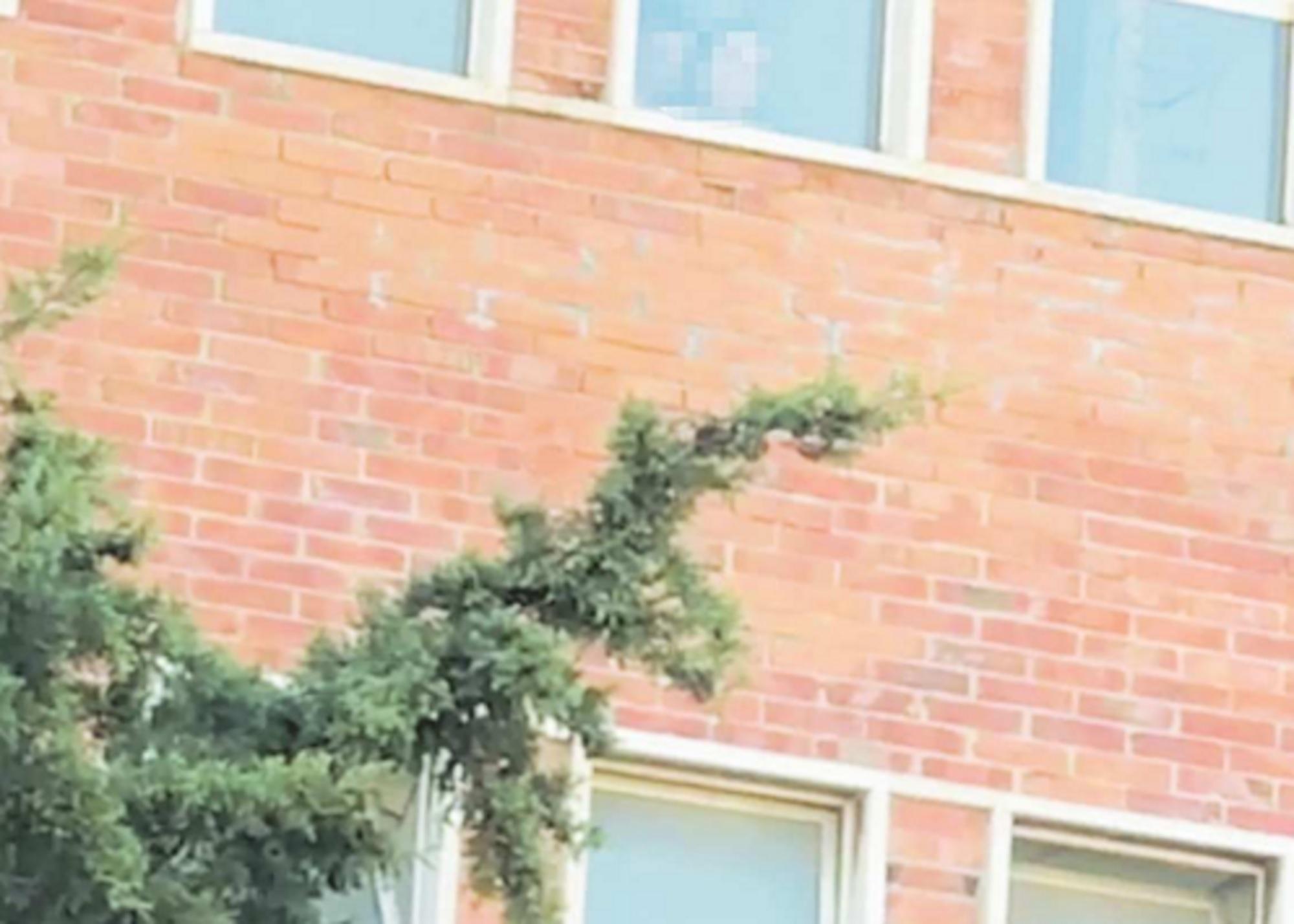 Un frame del video acquisito dalla postale con i volti dei ragazzi coperti