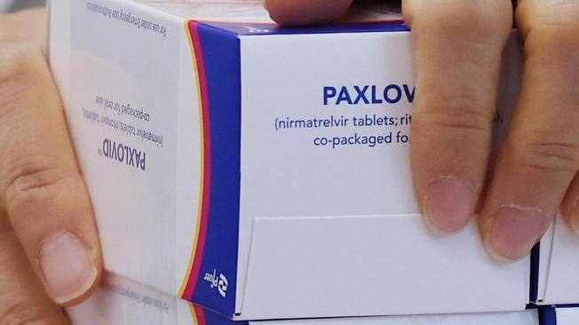 Covid: il Canada approva le pillole Pfizer