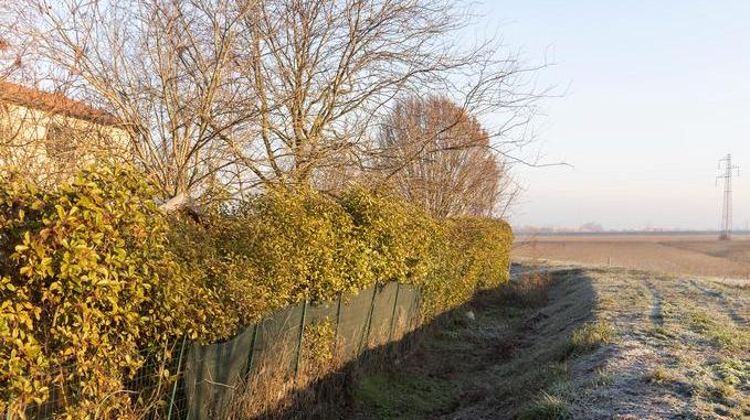 Modena, banditi speronano la polizia e fuggono sull’argine