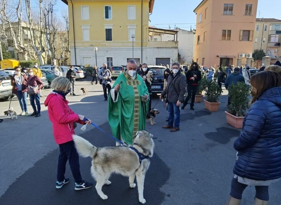 È la festa degli animali Benedizioni ed eventi in tutta la diocesi