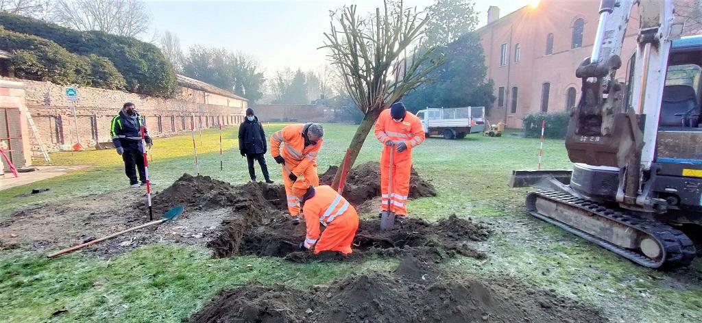 Ferrara, partiti i lavori per ricostruire il giardino di Palazzo Schifanoia con ispirazione rinascimentale