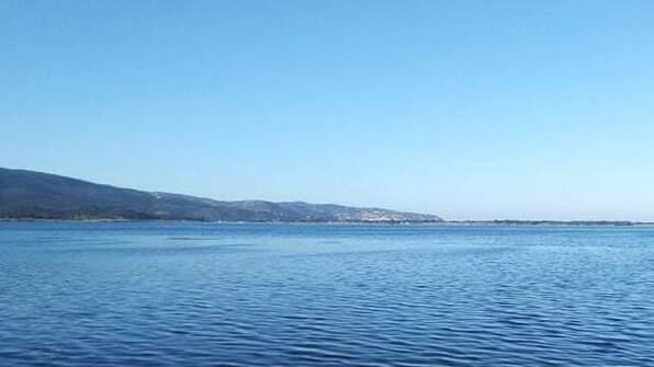 Laguna, sos dei “Pescatori” «Temiamo un’altra moria»