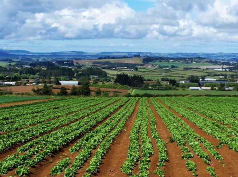 Porte aperte a tutti, così nasce il Distretto rurale 