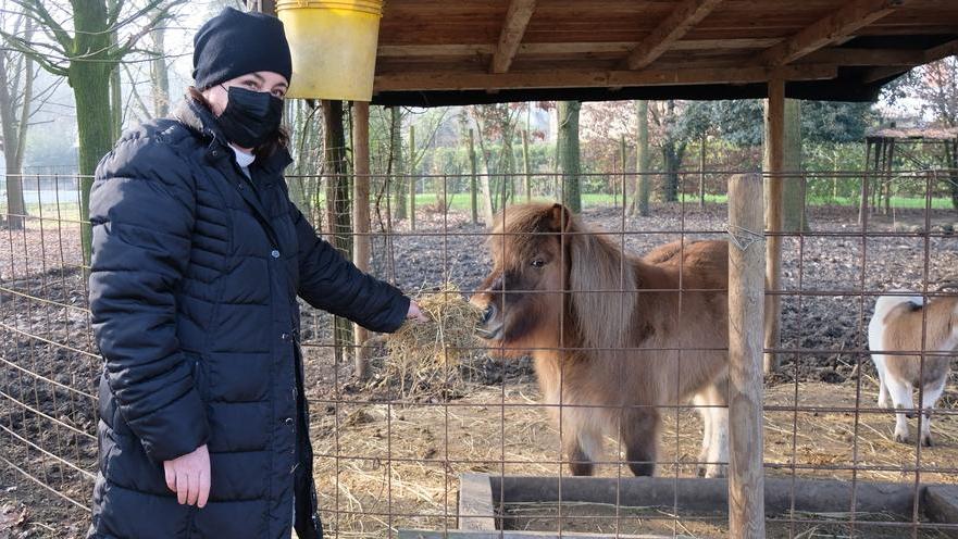 Viaggio allo zoo San Possidonio dove gli animali sono di casa