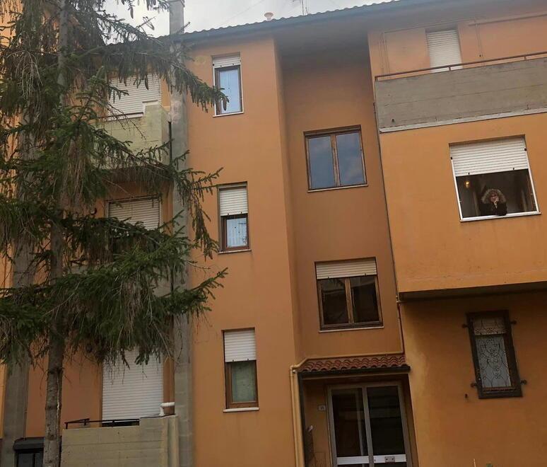 Operazione salvataggio per l’albero di Natale 
