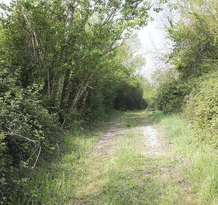 Un bonus per recuperare parchi e giardini storici Domande entro il 15 marzo