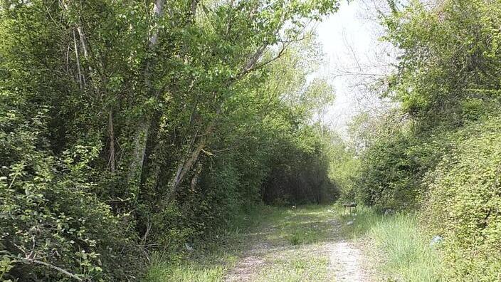 Un bonus per recuperare parchi e giardini storici Domande entro il 15 marzo