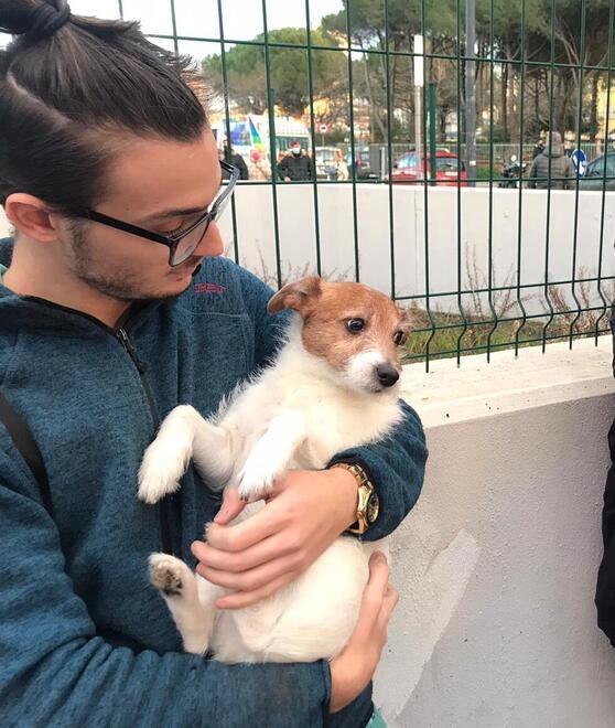 Corsa per salvare i cani «Erano terrorizzati» 
