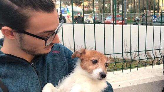 Corsa per salvare i cani «Erano terrorizzati»