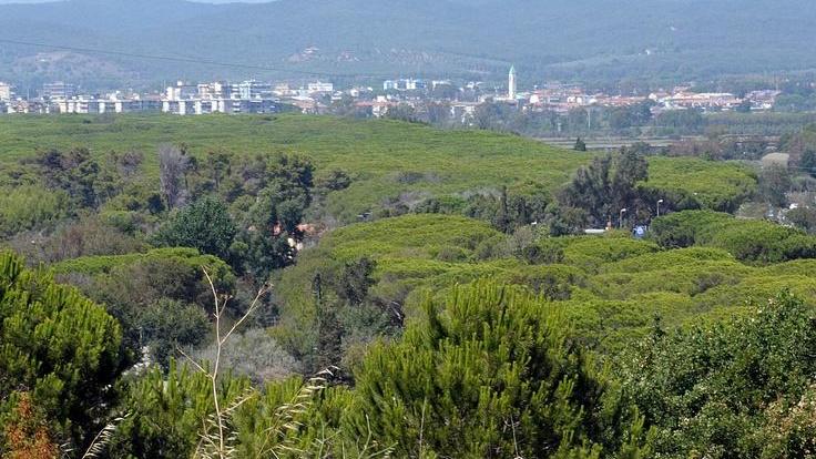 Spaccio nei boschi di Portiglioni Arrestato un 30enne “recidivo”