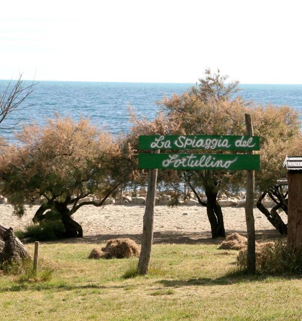 Aperto il bando di gara per l’affidamento del parco Il Fortullino 