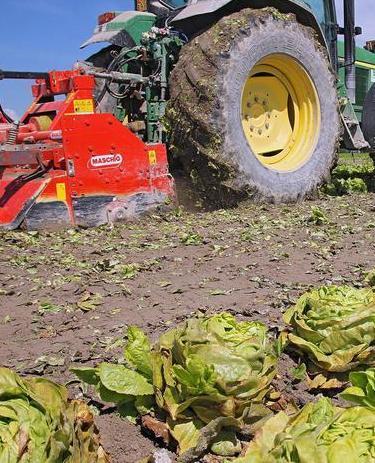 All’Ipasr di Perfugas l’agricoltura del futuro 