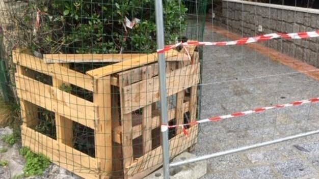 «Cinghiali e mufloni nei paesi Ormai non tornano sui monti»