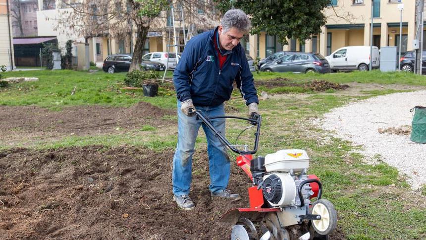 Cappella Revedin Sta prendendo vita un giardino storico