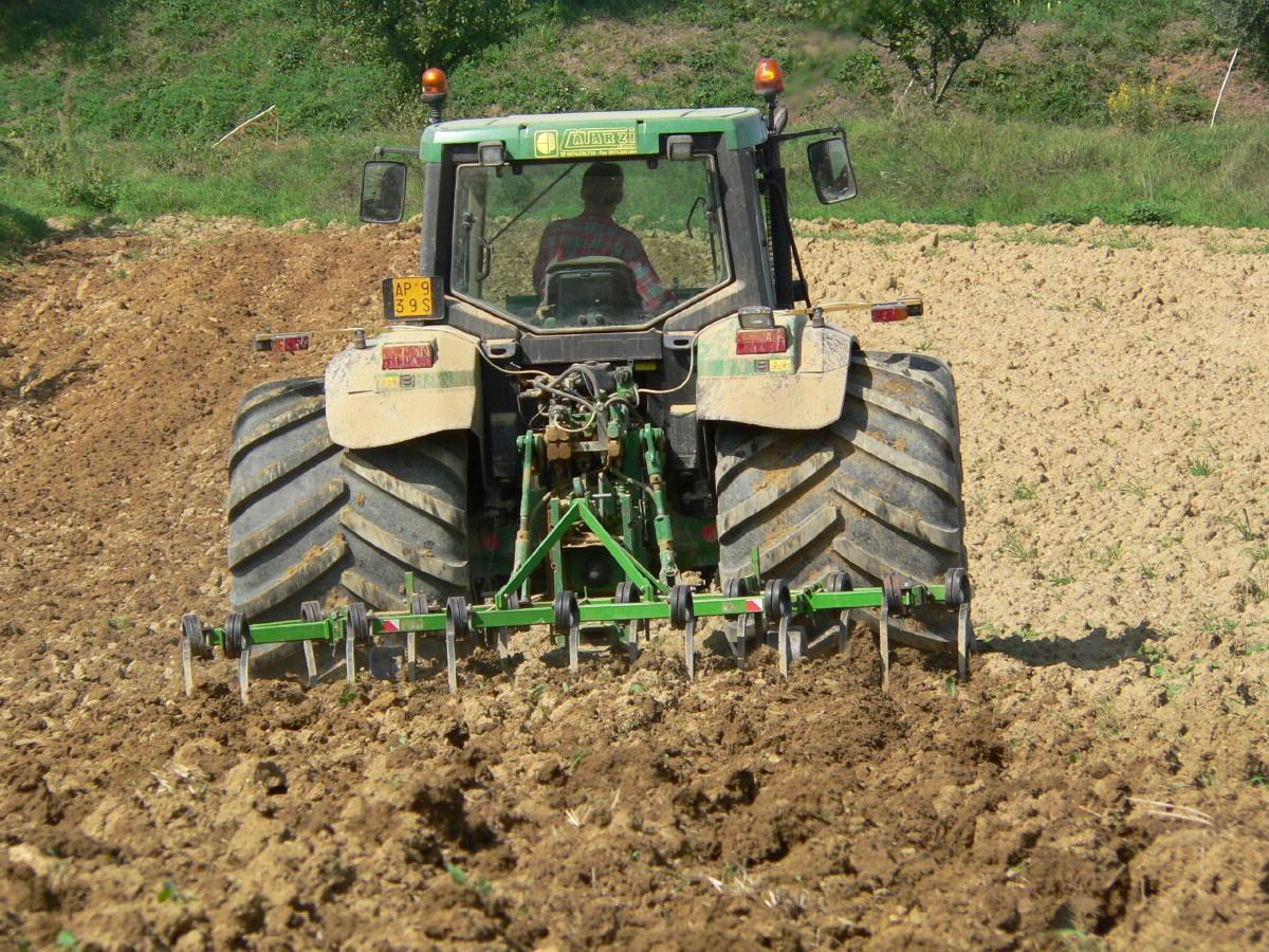 Rincari: dal campo alla tavola, ecco quanto sono aumentati i prezzi 