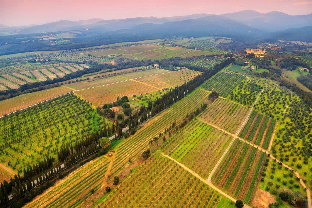 Il viale di Bolgheri dall'alto (foto Fabio Muzzi)