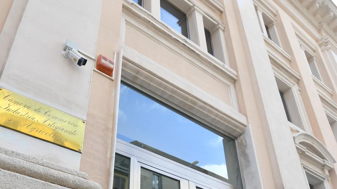 Camera di commercio, webinar al via