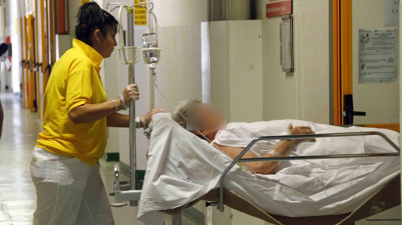 Punto da una zecca, professore comacchiese muore dopo un lungo calvario