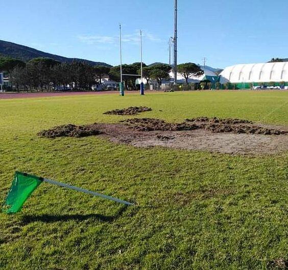 «I cacciatori non sono la soluzione ma la causa dell’emergenza cinghiali»