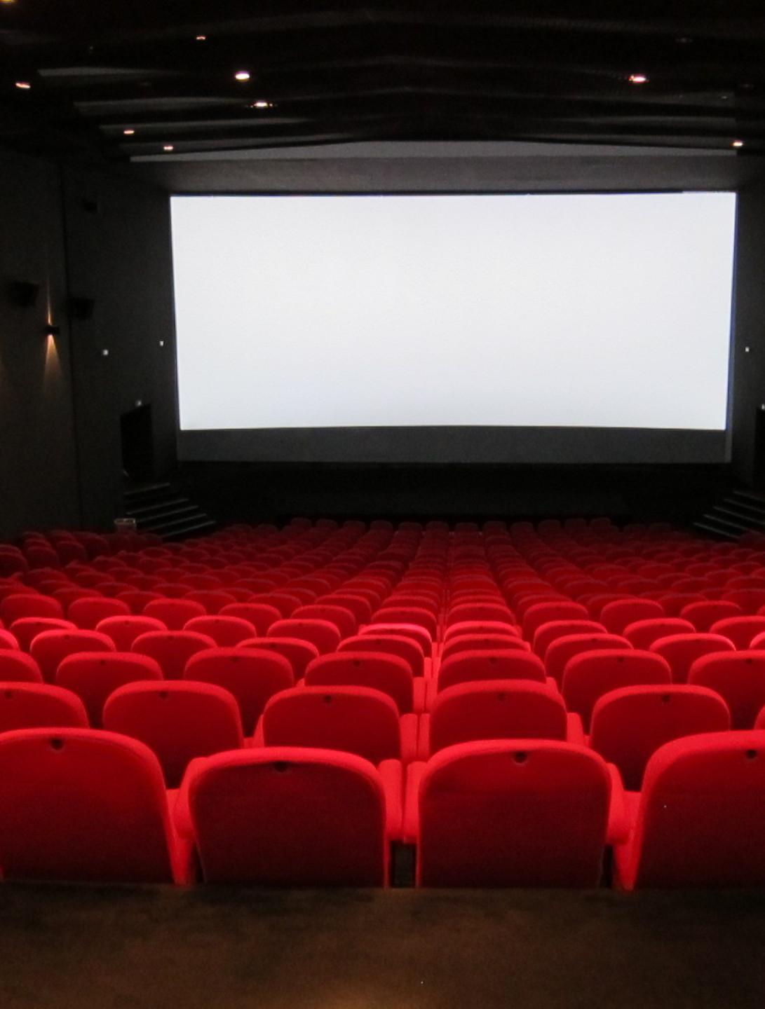 Sos alla Regione: «Salvate i cinema» 