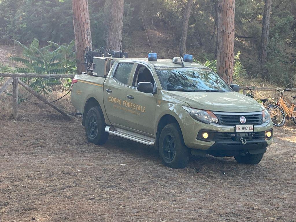 Un cervo e un muflone abbattuti: nove bracconieri denunciati