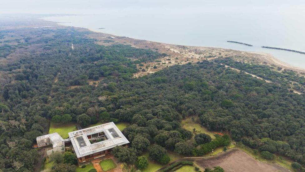 Una veduta del Parco di San Rossore