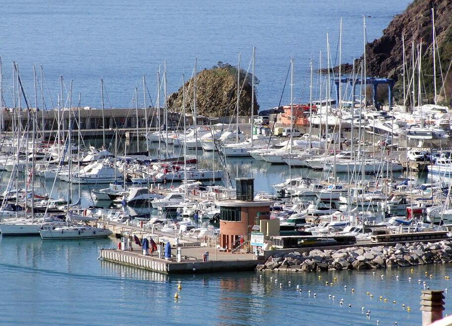 Nuova vita per il porto «Più posti barca e lavoro» 