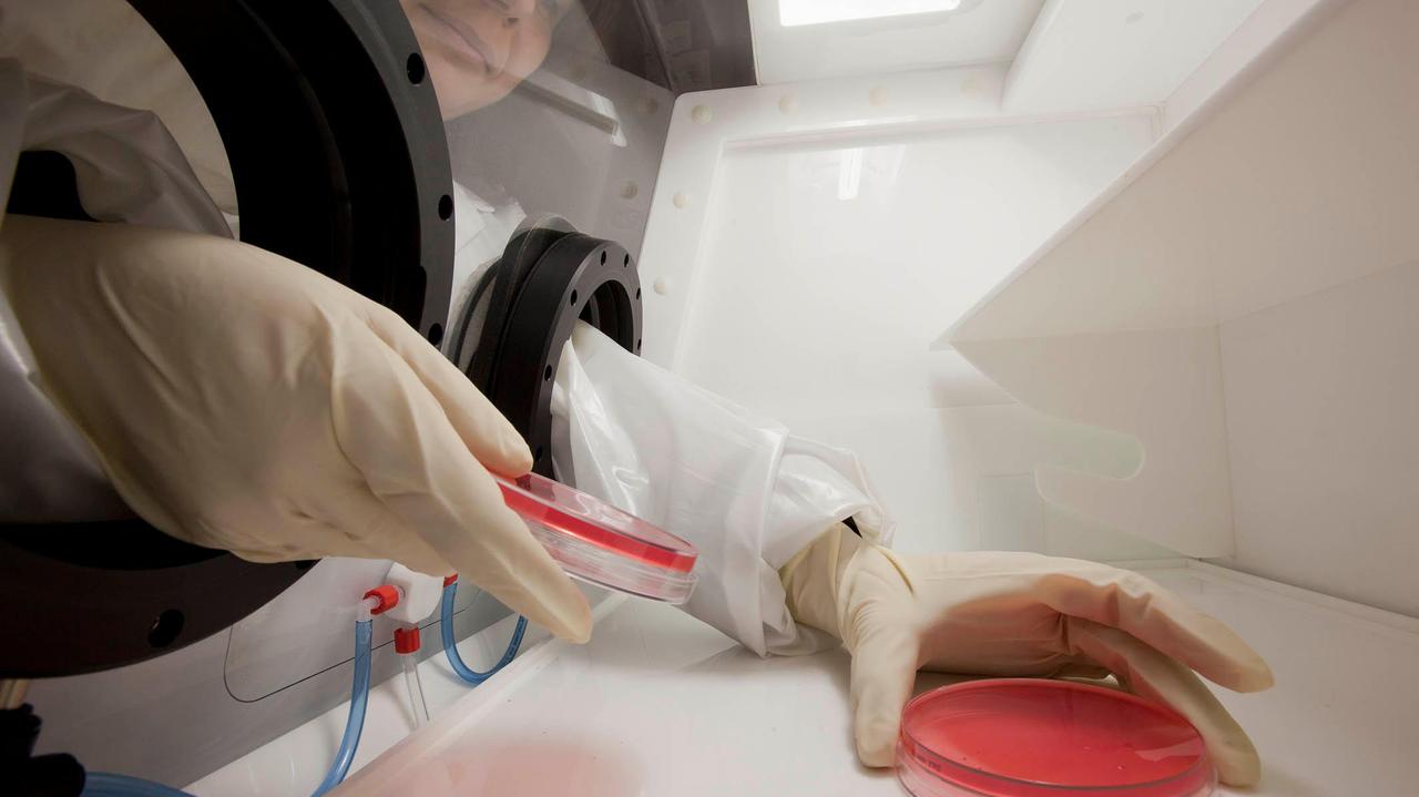 Monoclonali meno efficaci contro Omicron, Toscana Life sciences sospende l'arruolamento