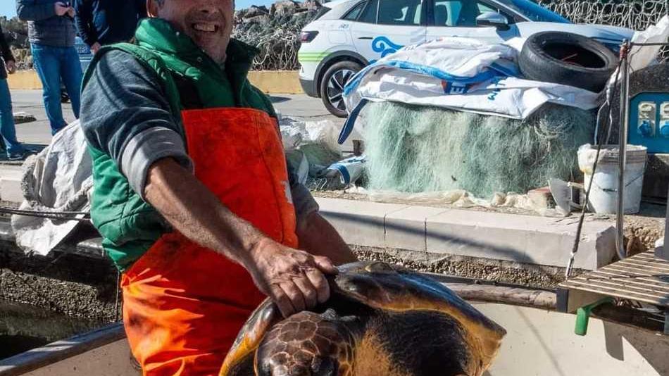 Pescatore di Cabras recupera e salva tartaruga 