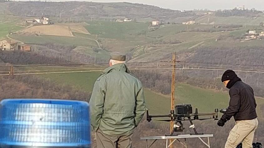 Savignano. I cinghiali nei cortili, polizia provinciale e cacciatori in scena Si usa anche il drone