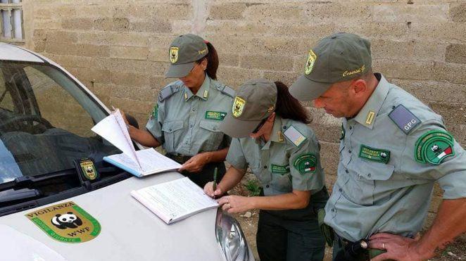 Guardie ambientali Wwf Italia durante un controllo (foto d’archivio)