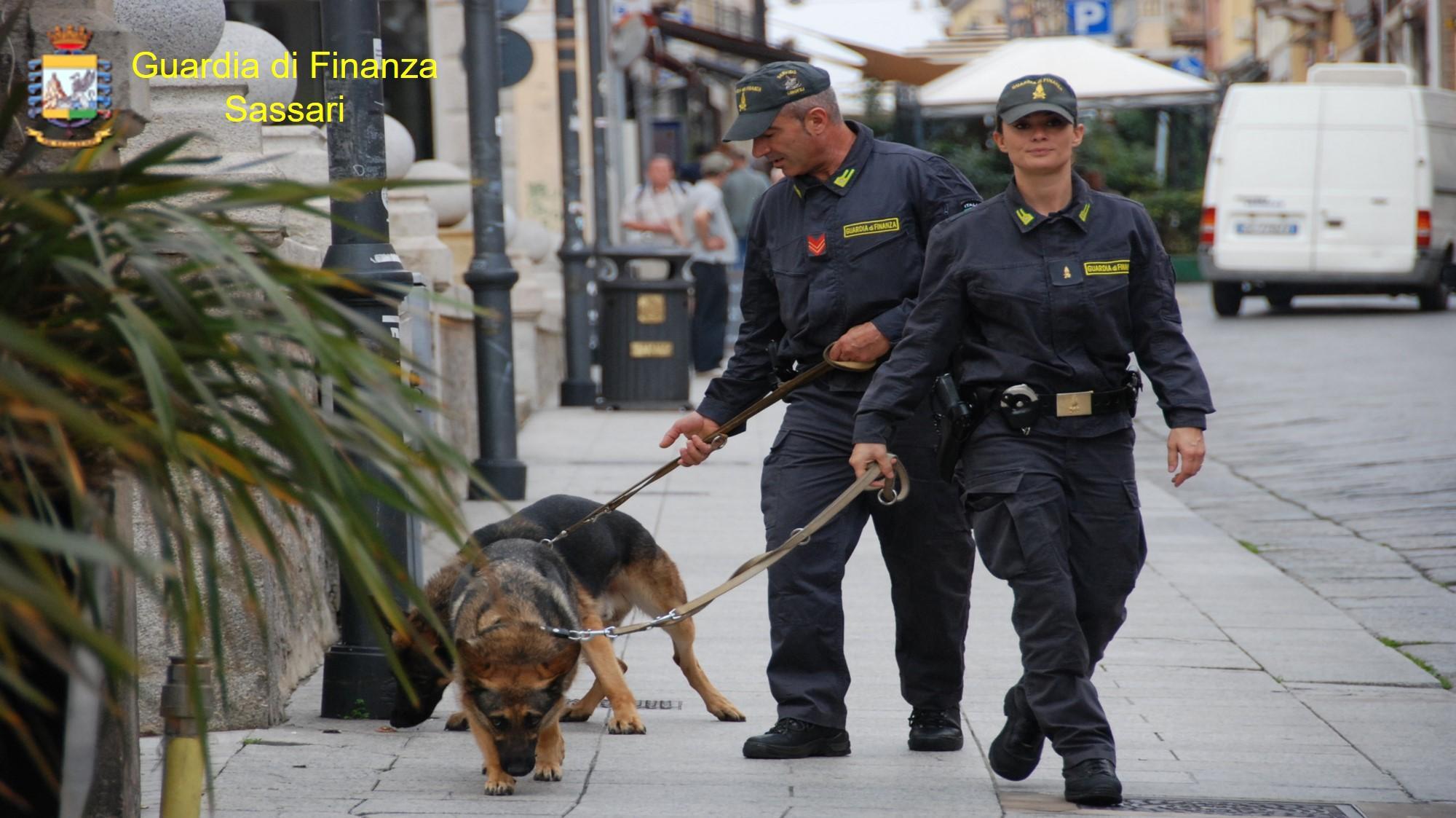 Unità cinofile della Guardia di finanza a Olbia, immagine di repertorio