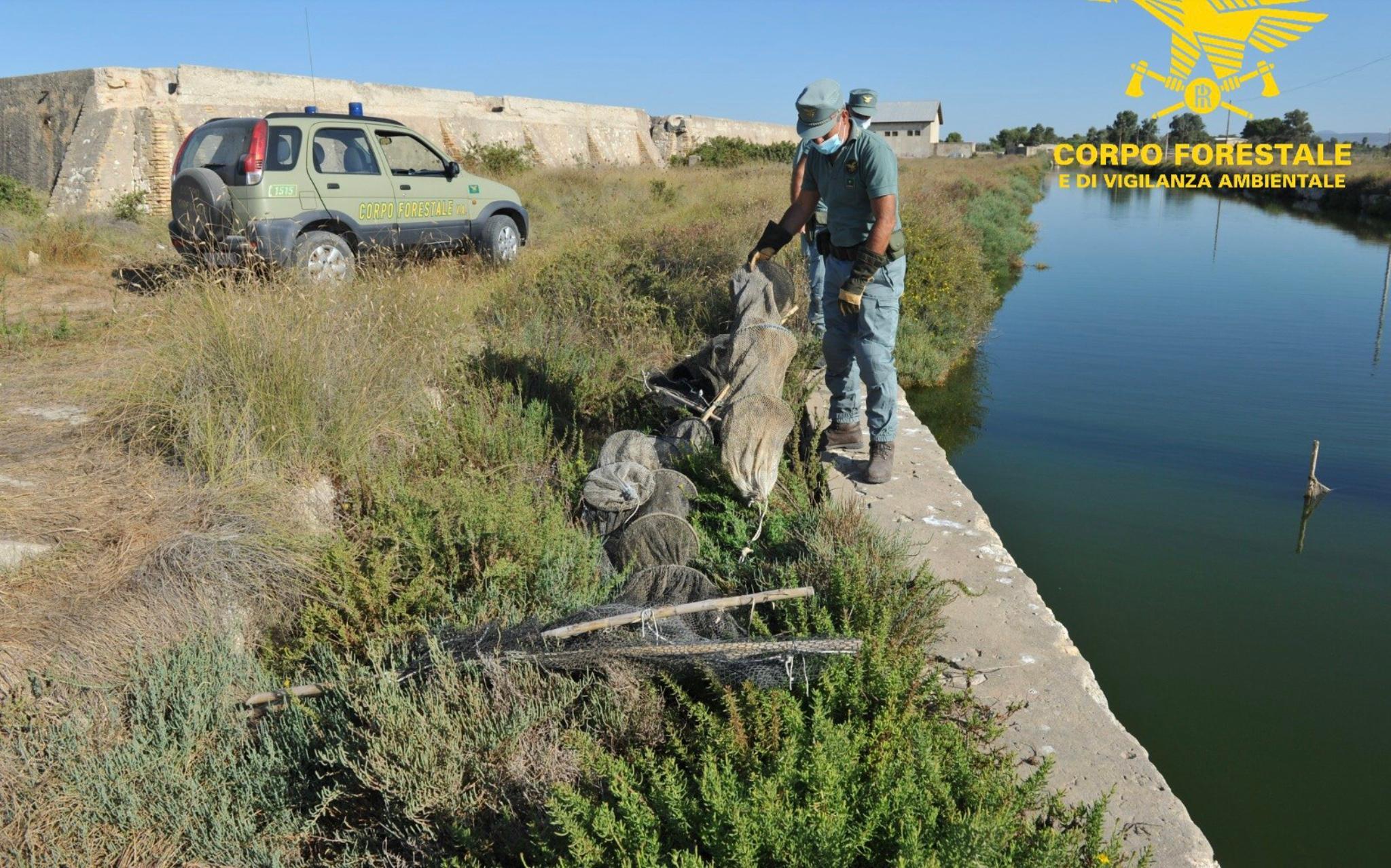 Parco di Molentargius: l'attività di sorveglianza nel 2021 del Corpo Forestale