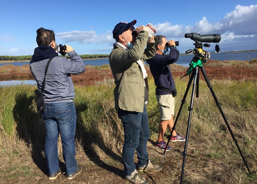 I falchi pescatori arrivano a Mistras 