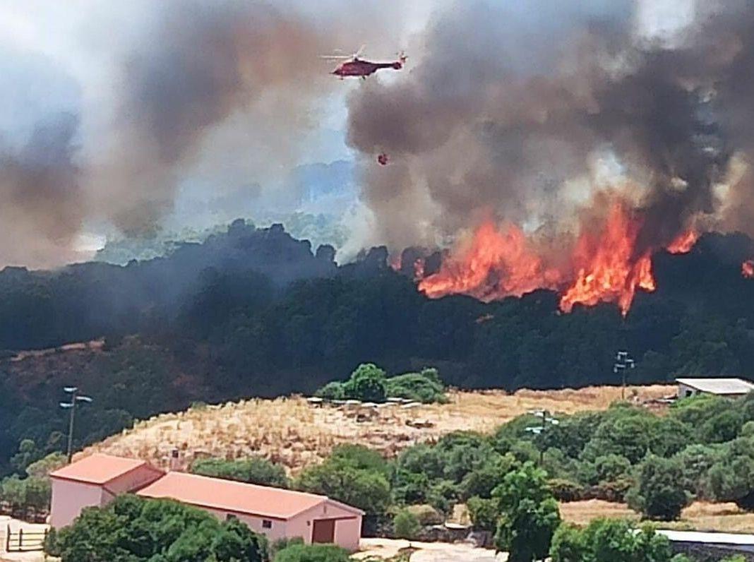 Dopo gli incendi arrivano i soldi della rinascita 