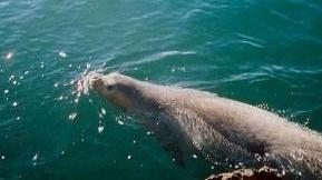 Tutela ambientale, via ai seminari