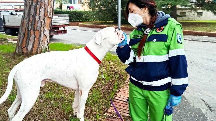 Una volontaria di Anpana con un cane