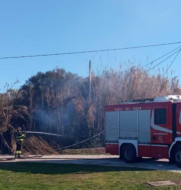 I vigili del fuoco domano un incendio e salvano le api