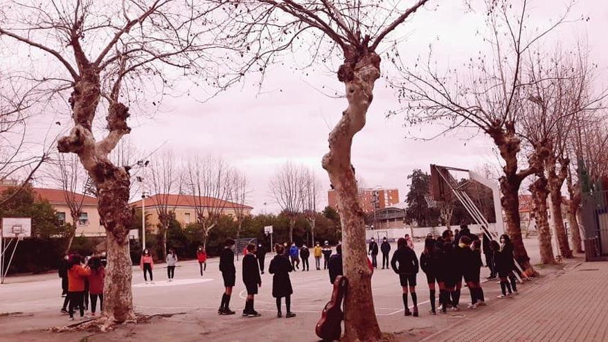 I ragazzi e le ragazze che ieri, come quelli di mezzo secolo fa, hanno fatto festa per don Bosco