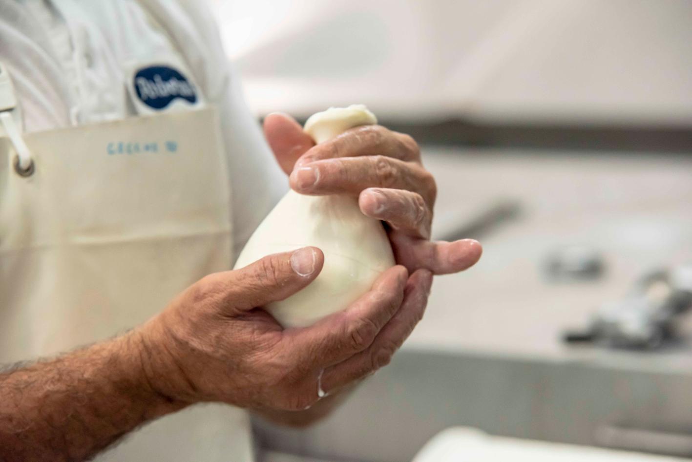 Arborea, energia e mangimi alle stelle: appello dei produttori della filiera del latte