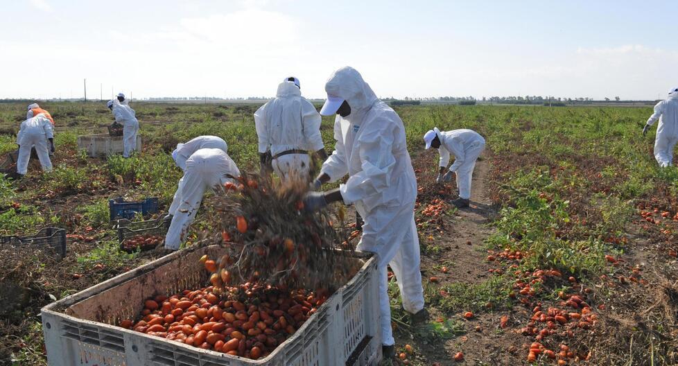 Dalla denuncia di un lavoratore picchiato è partita l'indagine delle forze dell'ordine, che ha alzato il coperchio su un sistema disumano