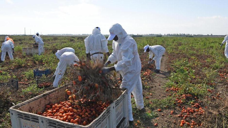 Dalla denuncia di un lavoratore picchiato è partita l'indagine delle forze dell'ordine, che ha alzato il coperchio su un sistema disumano