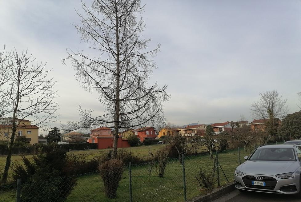 L’area verde lungo via papa Giovanni XXIII