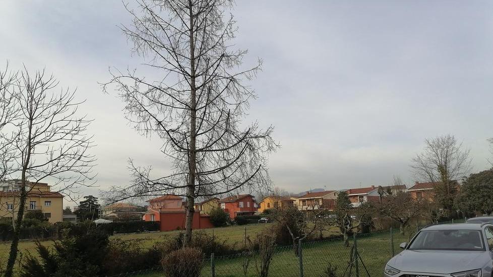 L’area verde lungo via papa Giovanni XXIII
