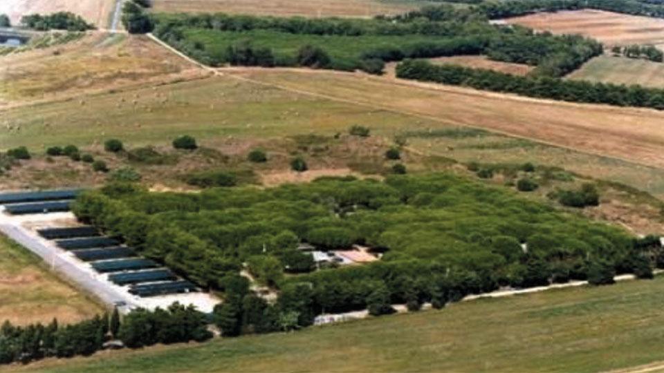 Un intervento collegato alla riqualificazione del campeggio Sant’Albinia