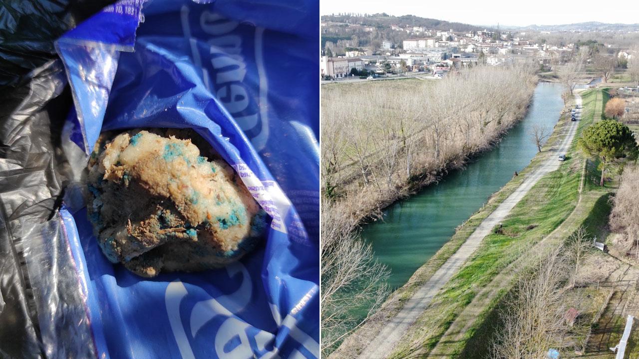 ll boccone avvelenato ritrovato al campo gara lungo il fiume Elsa; nella foto a destra il luogo del ritrovamento